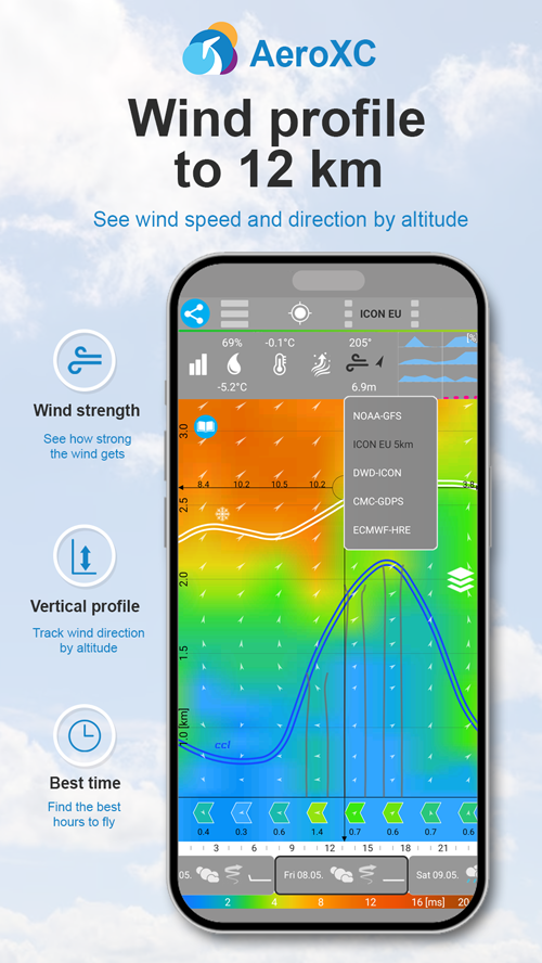 wind profile with pictograms
